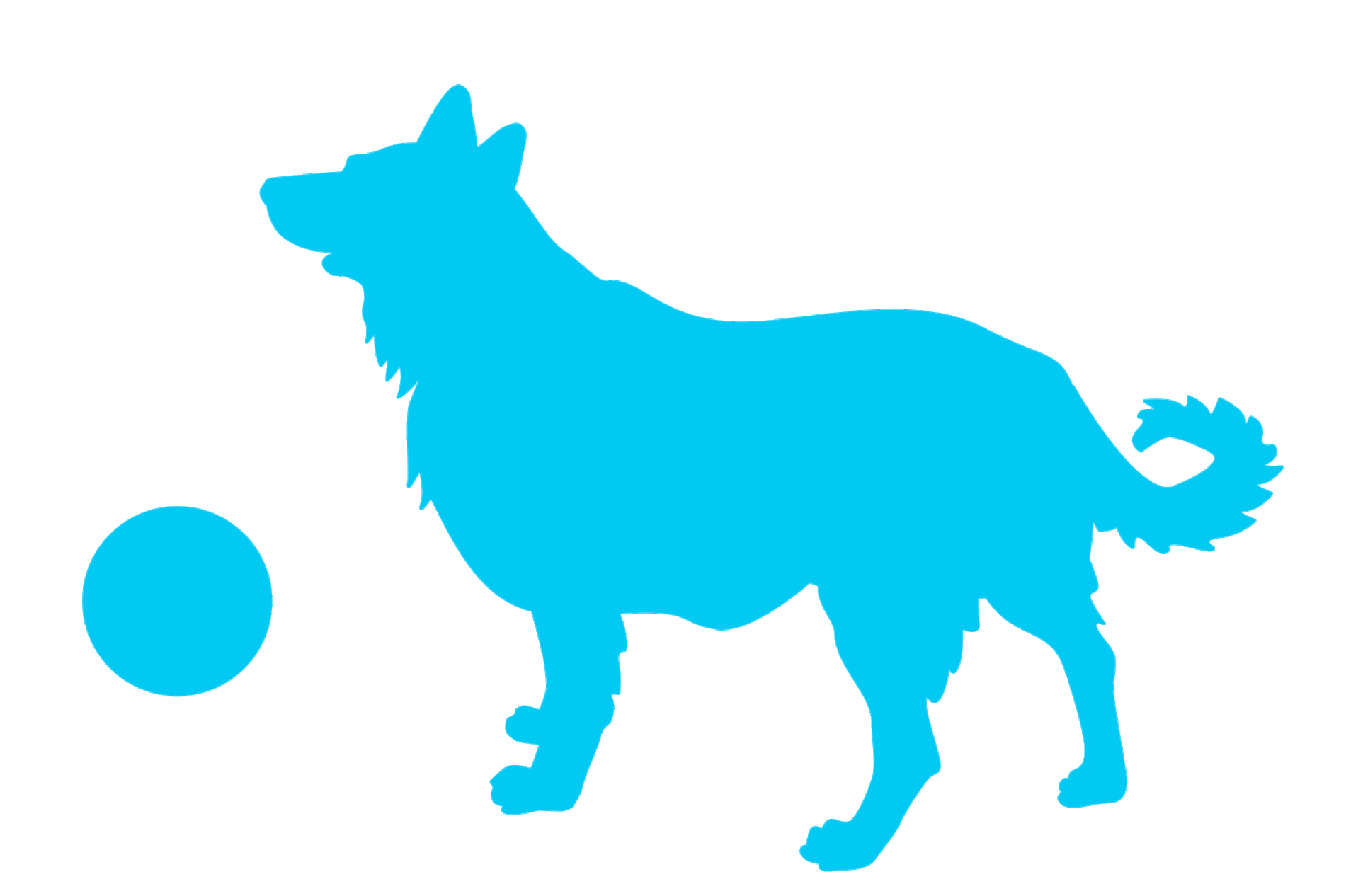 Hund_blue-ligth